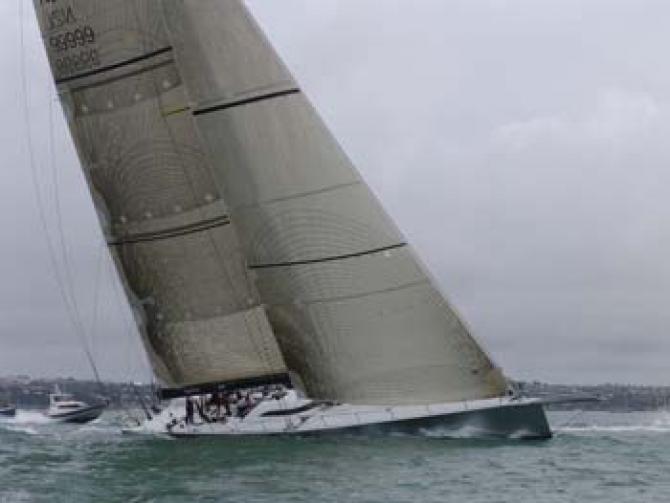 Line and Handicap Honours in Auckland to Tauranga Race 